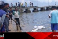 Temuan Mayat Dalam Karung di Teluk Awur ini Gegerkan Warga sekitar (Foto : istimewa) 