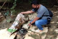 Penemuan jenazah bayi gegerkan warga Desa Sumberagung, Ngaringan, Grobogan (Foto:Istimewa)