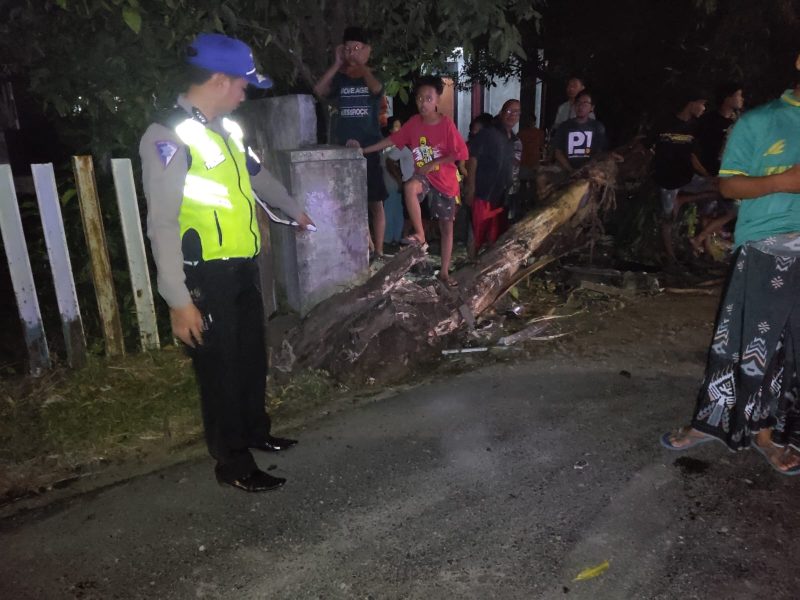 Unit Laka Satlantas Polres Kudus melakukan olah TKP kecelakaan (Foto:Istimewa) 