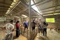 Bidang Peternakan Dispertan menggelar vaksinasi massal terhadap ratusan ekor unggas milik peternak kecil di Desa Bulungcangkring, Kecamatan Jekulo, beberapa waktu lalu. (Foto:JP)