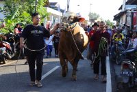 Sapi bantuan Presiden Prabowo 