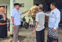 Ketua DPC Partai Gerindra Kudus, Sulistyo Utomo (tengah), didampingi perwakilan pemerintah daerah dan peternak Shokhib, meninjau sapi kurban pemberian Presiden RI Prabowo Subianto seberat 1 ton 73 kilogram di Desa Kaliwungu, Kudus, Kamis (5/7/2025). Sapi jenis limosin bernama “Slamet Joyo” ini akan disembelih pada Hari Raya Iduladha dan didistribusikan untuk masyarakat Kudus.. (Foto: JP)
