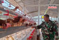 Ternak ayam petelur salah satu program TMMD Reguler ke-125 ketahanan pangan (Foto:JP)