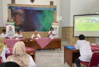 Peluncuran fitur 