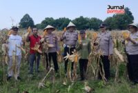 Foto: istimewa