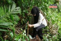 Di lereng Pegunungan Muria peserta menanam pohon Ficus (Foto:JP)