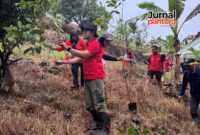Ketua DPC PDI Perjuangan Kudus menanam pohon di Wonosoco (Foto:JP)