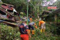 Relawan Japan membersihkan pohon tumbang (Foto:JP)