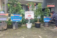 Deretan bibit pohon buah di halaman Kantor PWI Kudus saat HPN 2026 (Foto:JP)