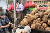 Atmirah, pedagang kelapa di Pasar Kliwon Kudus. (Foto: JP)