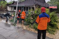 Selain rumah rusak, angin kencang juga tumbangkan pohon (Foto:JP)