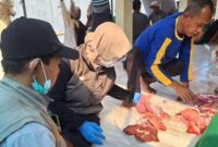 Pemeriksaan hewan kurban setelah disembelih (Foto:JP)