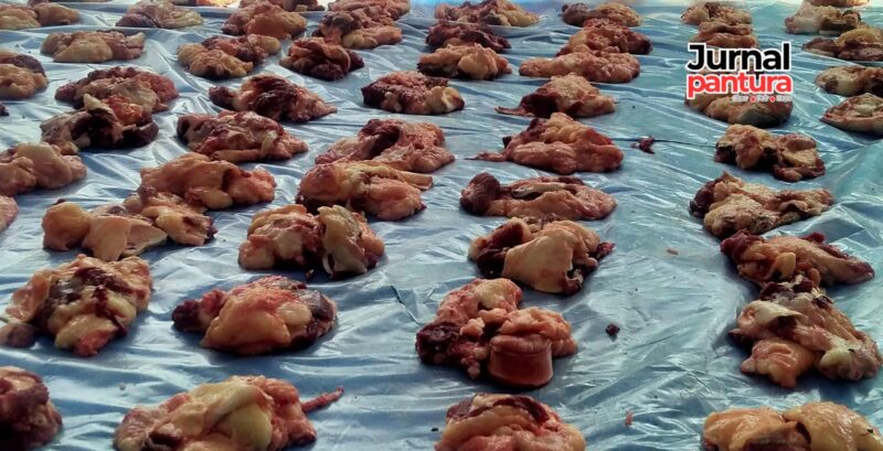 Daging Sapi Arjuna sebelum dibagikan ke warga (Foto:JP)