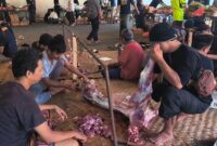 Yayasan Masjid Menara dan Makam Sunan Kudus (YM3SK) menyembelih 16 ekor kerbau dan 37 ekor kambing. (Foto: JP) 