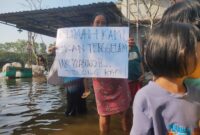 Kondisi Petambak Desa Tunggulsari, Kecamatan Tayu, Kabupaten Pati, Agus Subekti, yang terendam banjir rob, Jumat (19/6/2026). Foto: JP