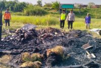 Kandang kambing di Desa Undaan Lor, Kecamatan Undaan, Kabupaten Kudus terbakar pada Selasa (16/6/2026) pagi. (Foto: JP)
