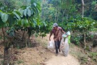 Supriyadi mengangkut sampah yang berserakan di sepanjang jalur pendakian Puncak 29, Desa Rahtawu, Kecamatan Gebog. Saat kunjungan pendaki meningkat, ia bahkan bisa melakukan pengangkutan sampah hingga sekali dalam sehari. (Foto: JP)