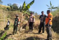 Tim SAR gabungan menyisir kawasan perbukitan Desa Soco, Kecamatan Dawe, Kudus, Jumat (28/8/2026), untuk mencari Sarno (61), warga setempat yang dilaporkan hilang saat mencari rumput. Foto: JP