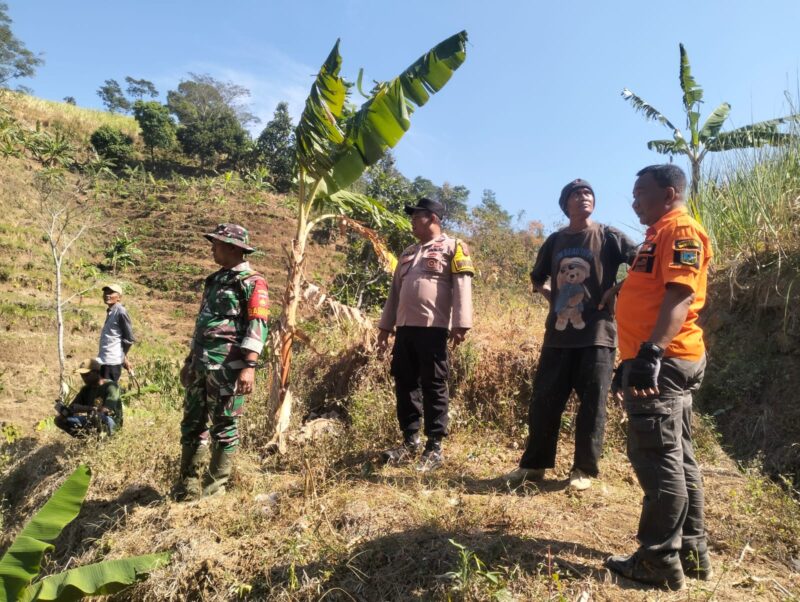 Tim SAR gabungan menyisir kawasan perbukitan Desa Soco, Kecamatan Dawe, Kudus, Jumat (28/8/2026), untuk mencari Sarno (61), warga setempat yang dilaporkan hilang saat mencari rumput. Foto: JP