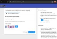 Laman Cek Bansos milik Kementerian Sosial RI untuk mengecek data desil. (Foto: JP) 