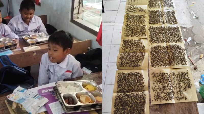 Siswa SDN 3 Bulungcangkring, Kecamatan Jekulo, Kabupaten Kudus mejikmati MBG ditemani lalat karena lokasinya yang dekat kandang ayam. (Foto: J05) 