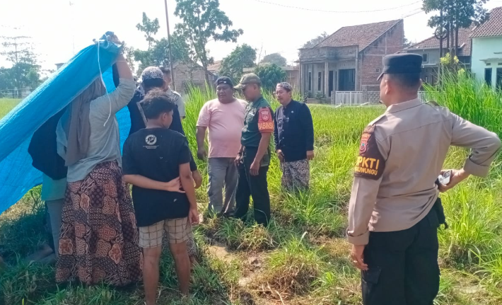 Petugas kepolisian bersama warga berada di lokasi penemuan seorang warga yang tergeletak di area persawahan Blok Sidoro, Desa Kaliwungu, Kecamatan Kaliwungu, Kabupaten Kudus, Rabu (23/9/2026). Foto: ist