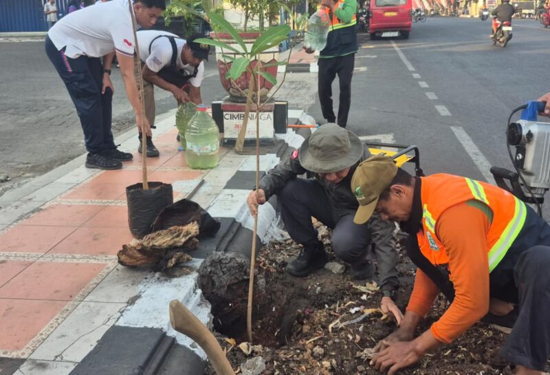 Bupati Kudus Sam’ani Intakoris terjun langsung saat gerakan penghijauan di sejumlah ruas jalan Kabupaten Kudus, Jumat (25/9/2026).   Foto: JP