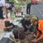 Bupati Kudus Sam’ani Intakoris terjun langsung saat gerakan penghijauan di sejumlah ruas jalan Kabupaten Kudus, Jumat (25/9/2026).   Foto: JP